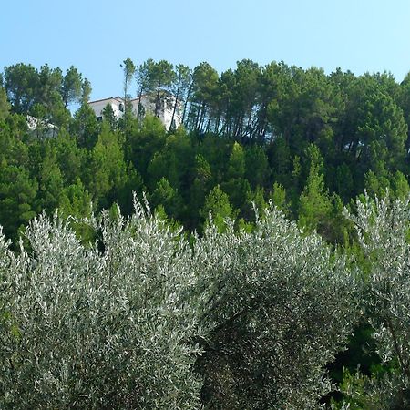 סבטי סטפן Apartments Maslina מראה חיצוני תמונה