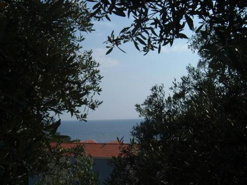 סבטי סטפן Apartments Maslina מראה חיצוני תמונה