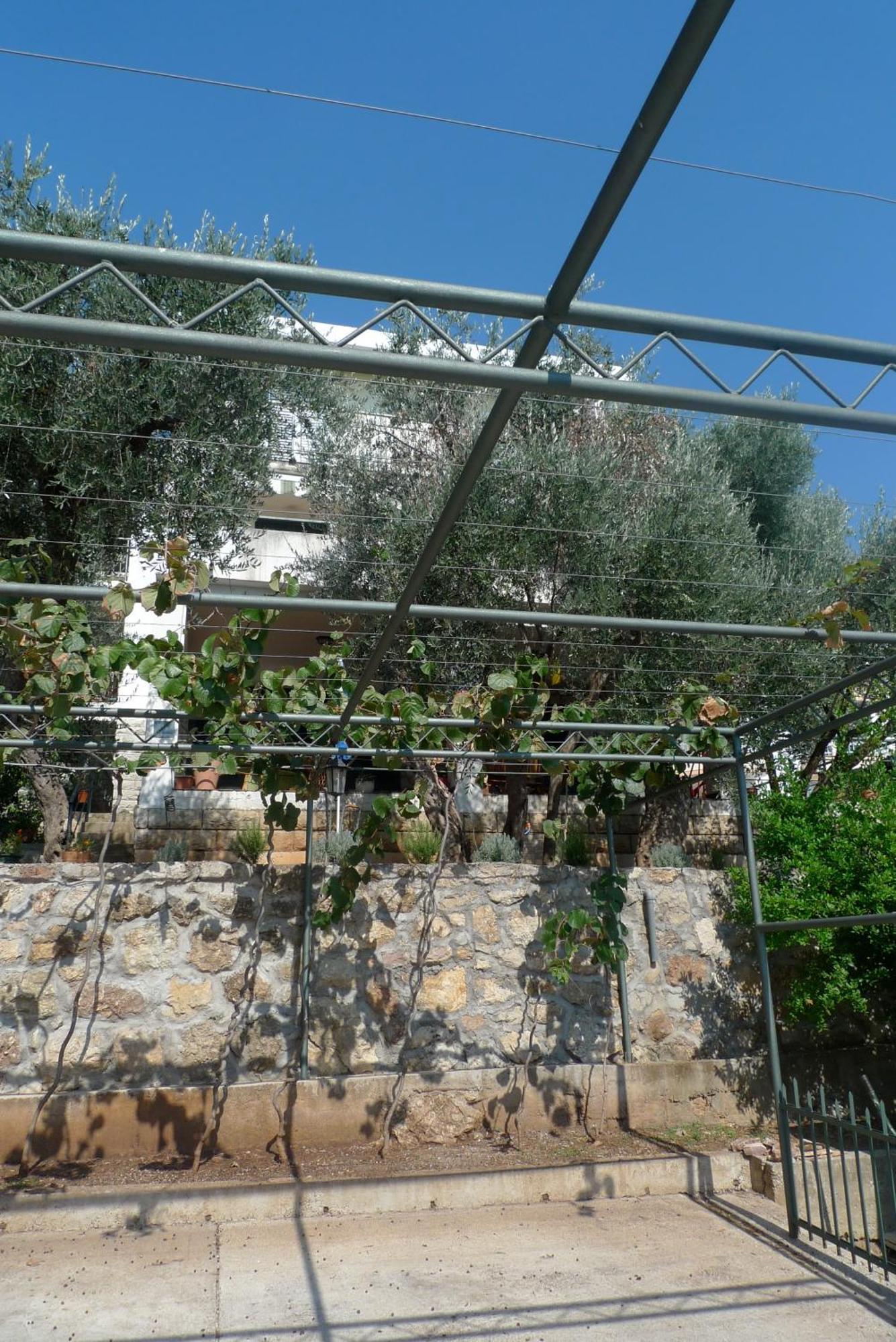 סבטי סטפן Apartments Maslina מראה חיצוני תמונה