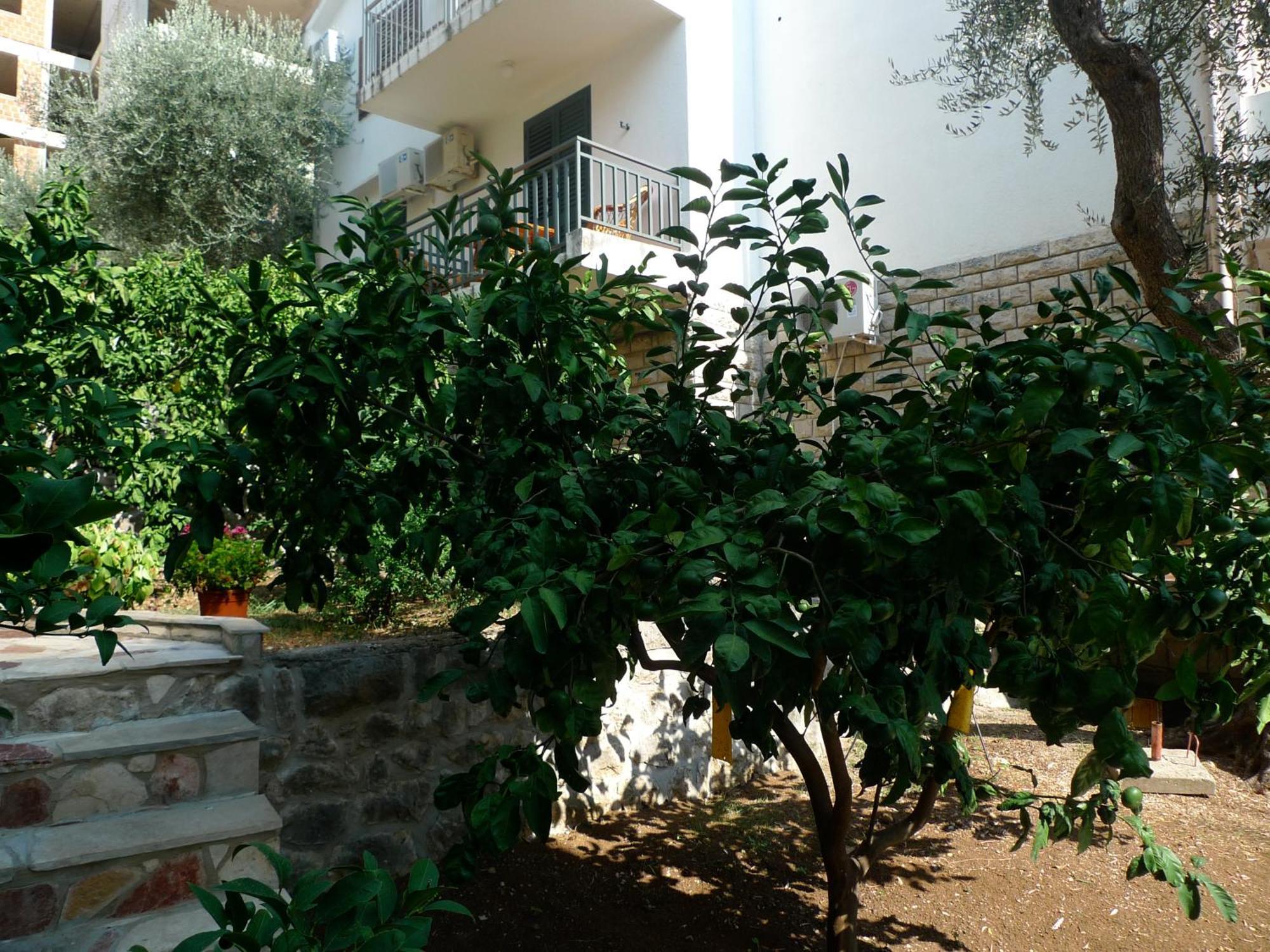 סבטי סטפן Apartments Maslina מראה חיצוני תמונה